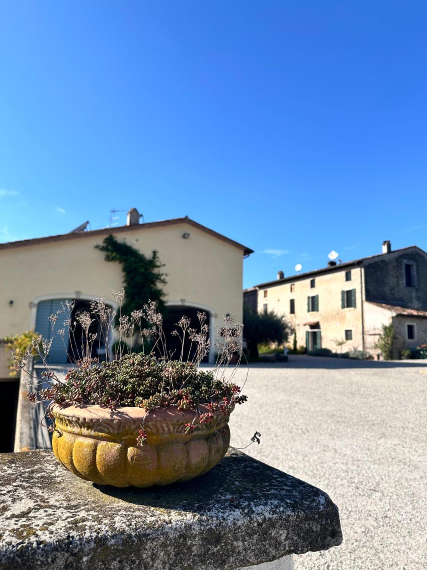 Ca Nova Agriturismo Castellaro  Exterior foto