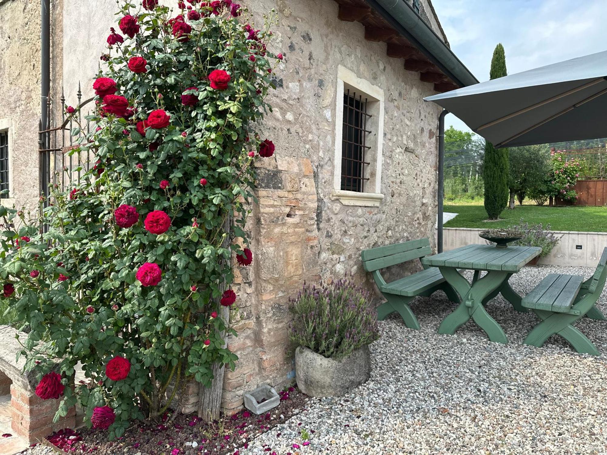 Ca Nova Agriturismo Castellaro  Exterior foto