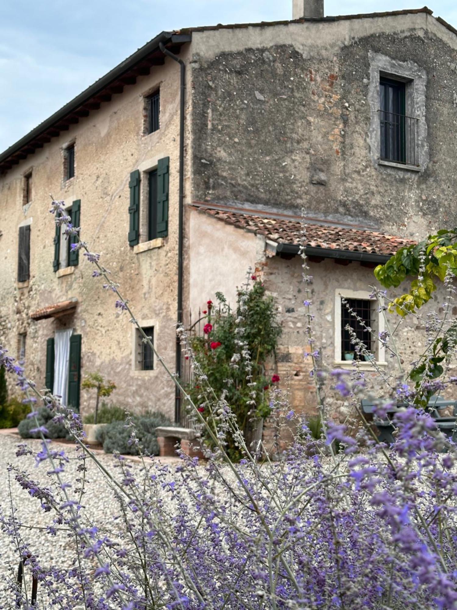 Ca Nova Agriturismo Castellaro  Exterior foto